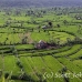 rice_tal_h_0107_bal4361.jpg